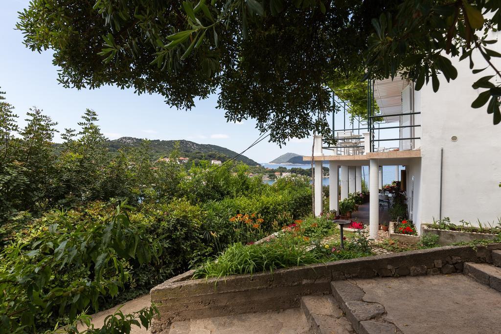 Apartments Miskovic Donje Celo المظهر الخارجي الصورة