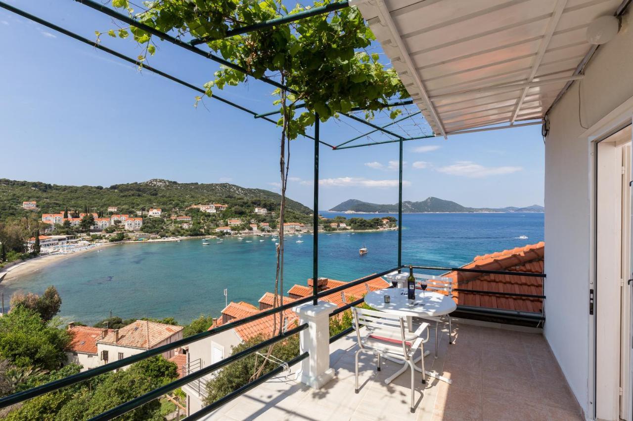 Apartments Miskovic Donje Celo الغرفة الصورة